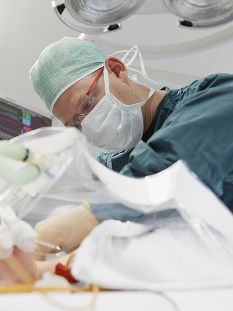 Eric Koomen, Utrecht, Netherlands